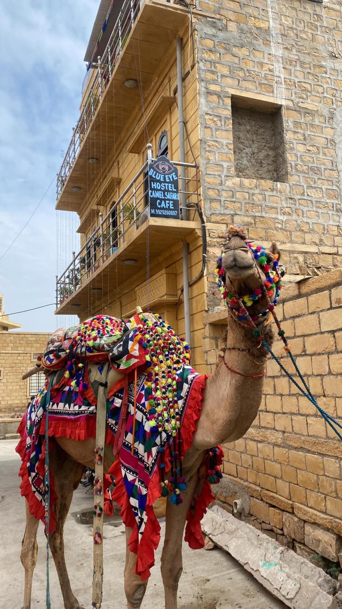 Blue Eye Hostel Jaisalmer Exterior photo